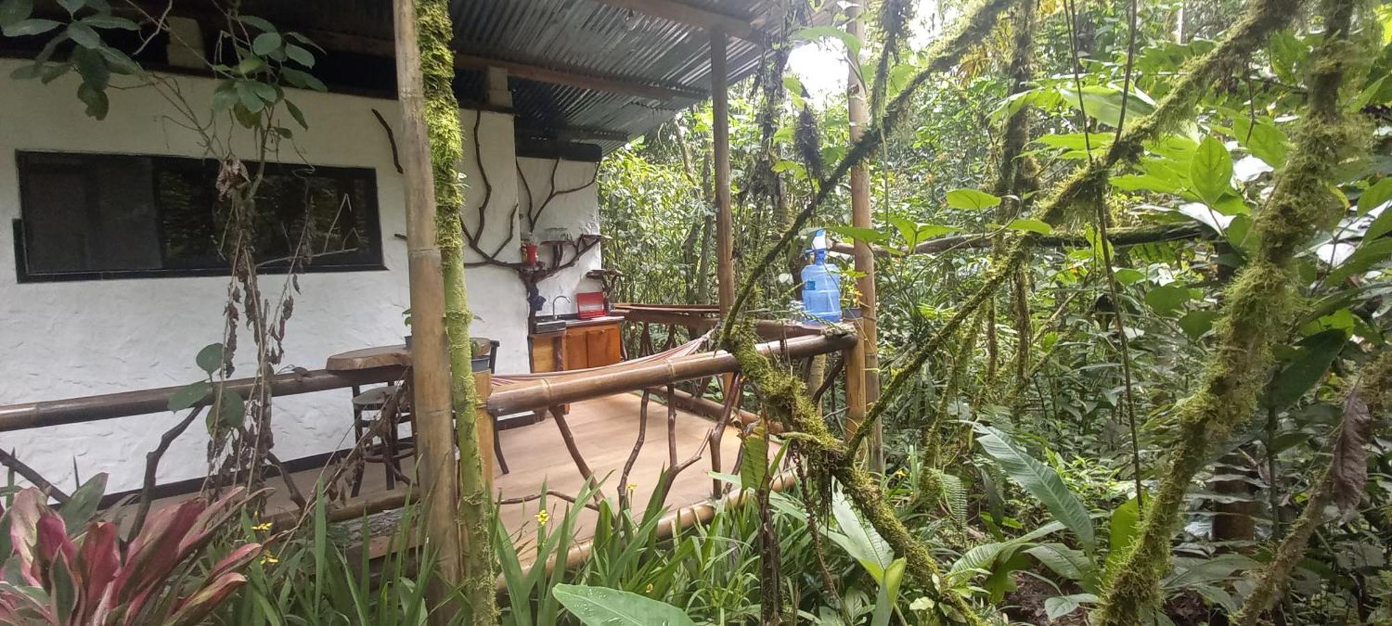 Cantalarana Lodge Mindo Habitación foto